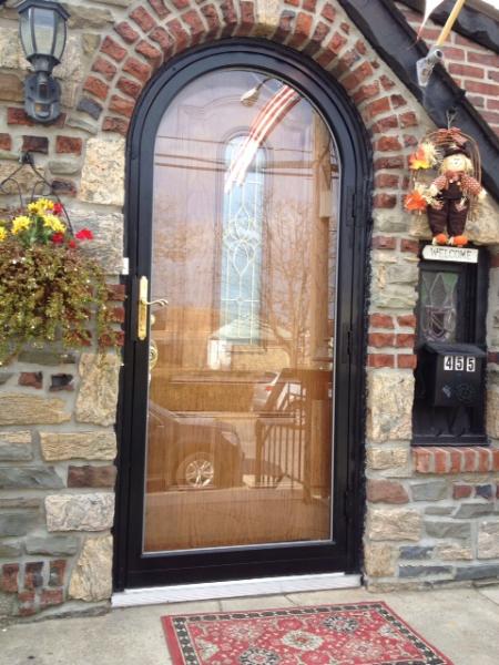 Fullview Arch Storm Security Iron Door